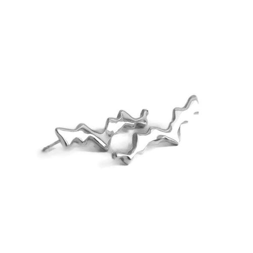 Silver earrings on a white background